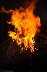 Belle Images-0739-XL