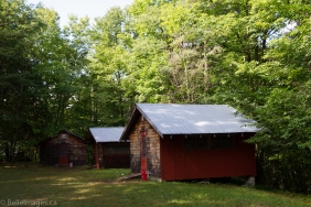 Belle Images-1301-XL