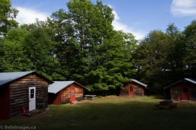 Belle Images-1305-XL