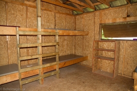 Belle Images-1311-XL